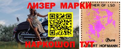 крисы Кинель
