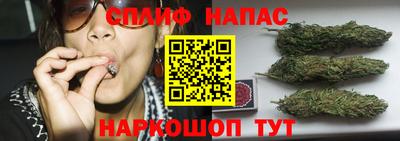 крисы Кинель
