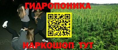 крисы Кинель