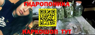 крисы Кинель