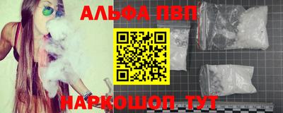 крисы Кинель